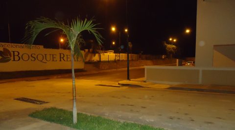 Fraccionamiento Bosque Real (96 Lotes)